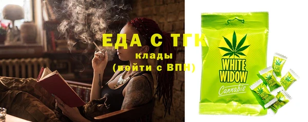 дживик Осинники