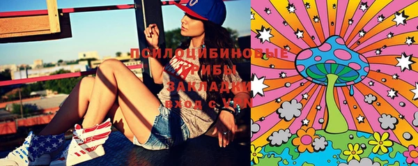 прущая мука Пересвет