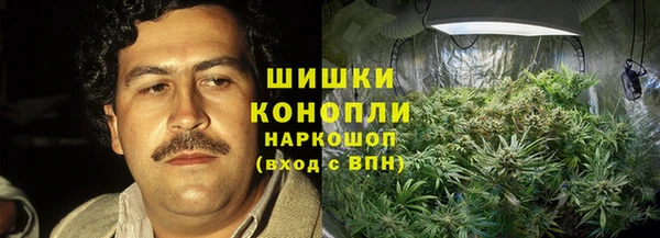 прущая мука Пересвет