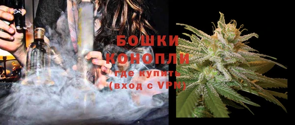 дживик Осинники